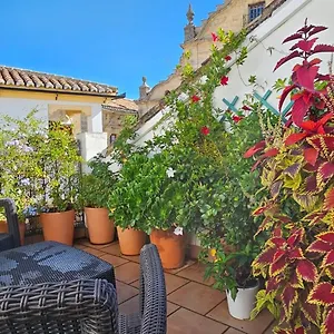 Descalzos Angel With Private Terrace Free Parking , Ronda Espagne